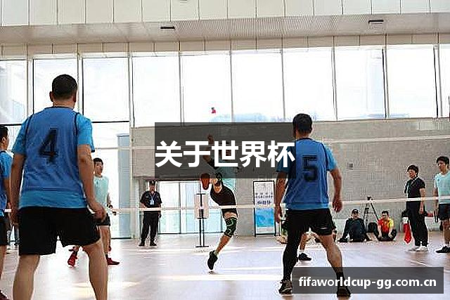 关于世界杯